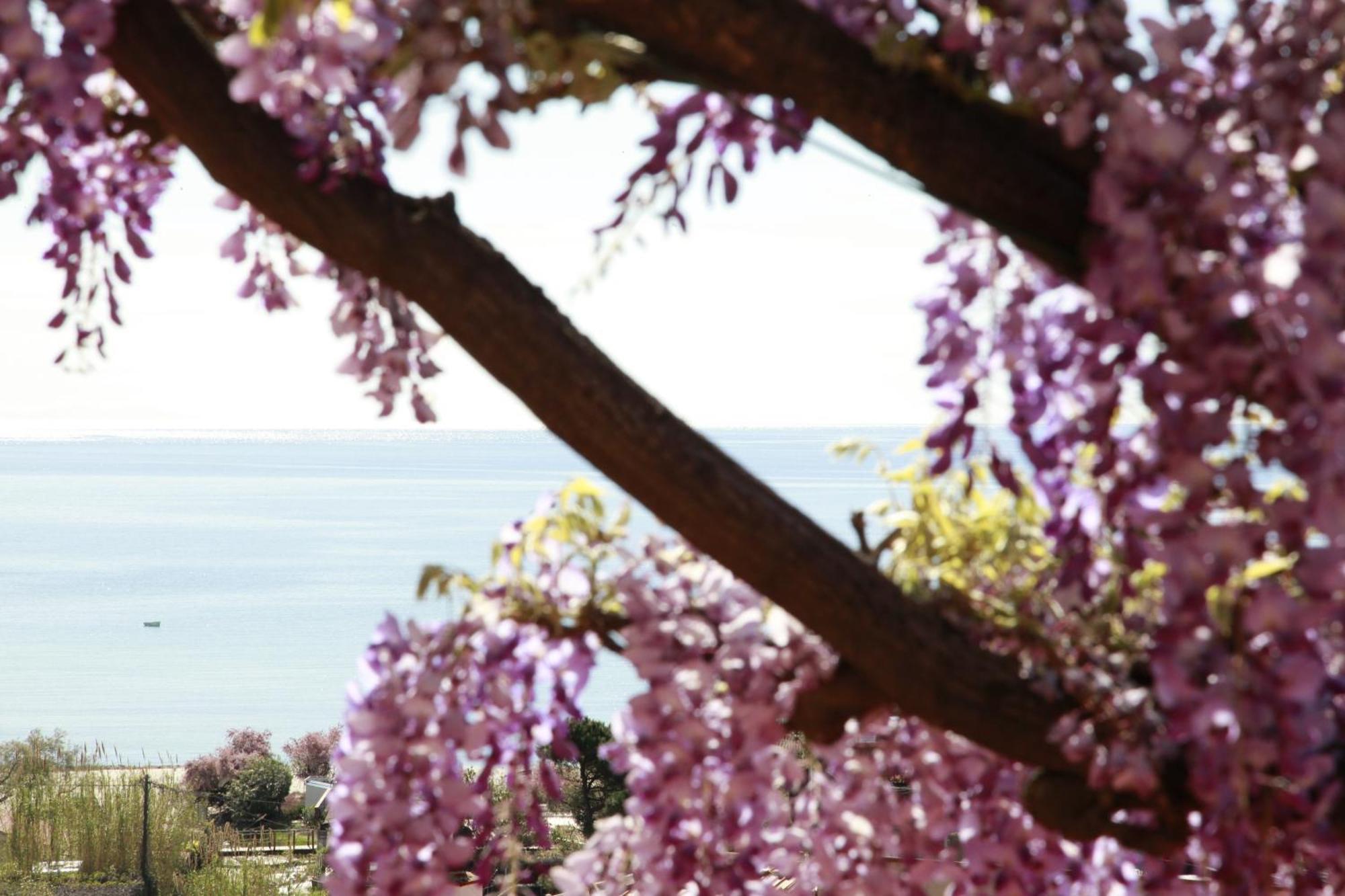 Hotel Galli - Wellness & Spa Fetovaia Exteriér fotografie